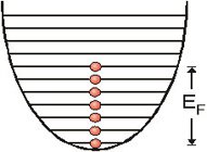 Fermions