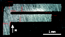 Spreeuw graph