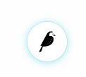 wagtail cms